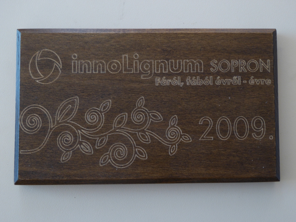 2009-es soproni különdíjunk